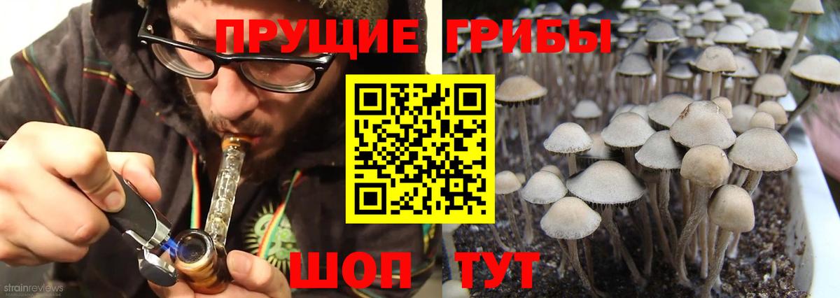 Галлюциногенные грибы Magic Shrooms Калининград